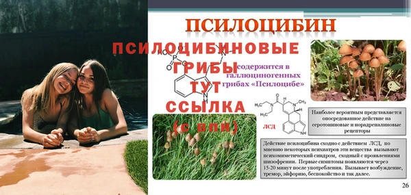 хмурый Алексеевка