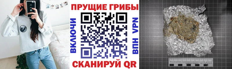 Псилоцибиновые грибы Cubensis  Купить закладки  Богородск 