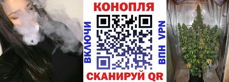 Шишки марихуана план  Купить где  Богородск 
